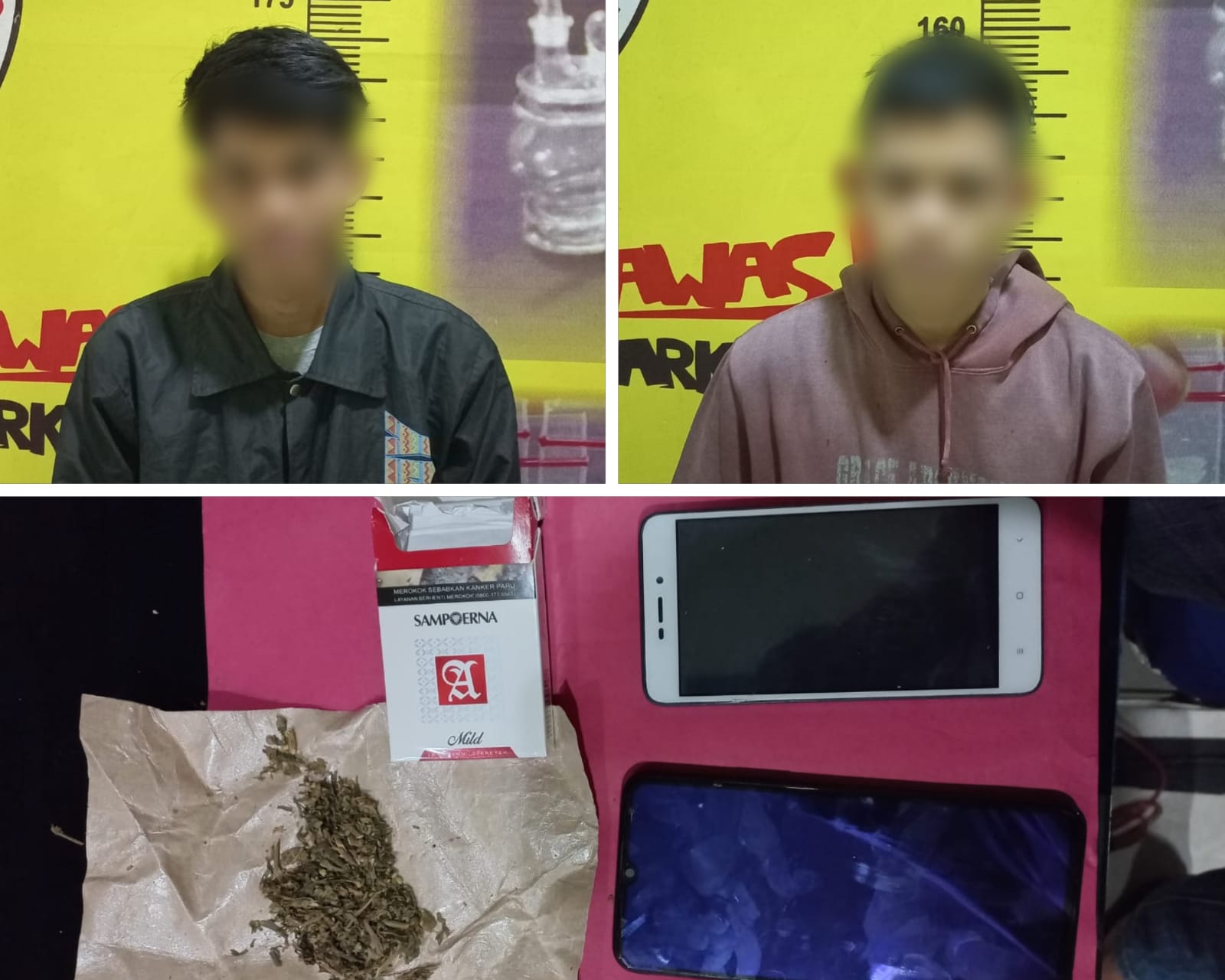 Bawa Ganja 4,75 Gram, Dua Pemuda Asal Tanggamus Ditangkap