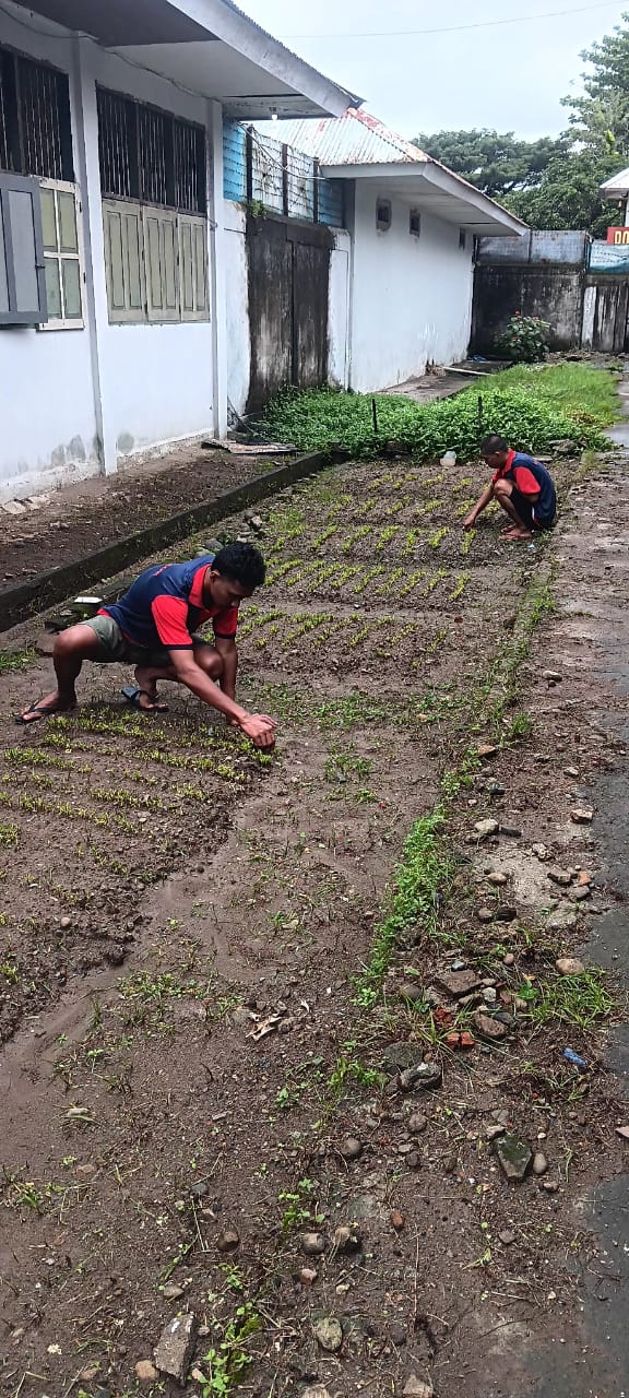 Lanjutkan Program Ketahanan Pangan, Rutan Ambon Tanam Sayur Tahap Keempat