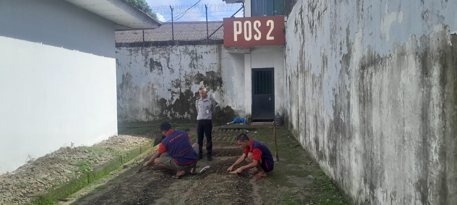 Pembinaan Produktif, Rutan Ambon Tanam Bibit Kangkung dan Kegiatan Meubelair