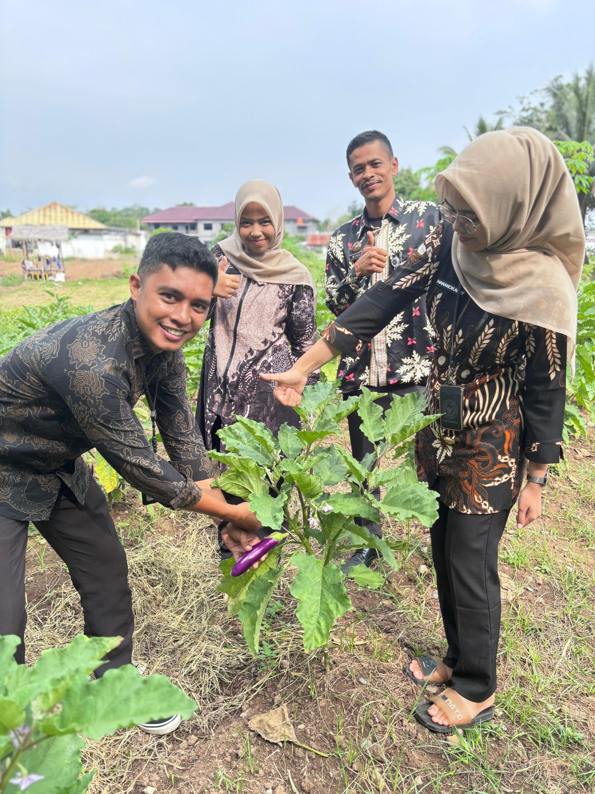 Wujudkan Pembinaan Kemandirian, Lapas Dharmasraya Panen Terong dan Pare