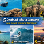 file_0000000043d071fab7cbcb4cd2c52f90