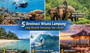 file_0000000043d071fab7cbcb4cd2c52f90