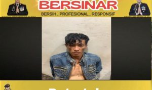 WhatsApp Image 2026-03-08 at 19.50.09